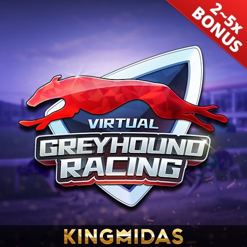 km virtual greyhound racing